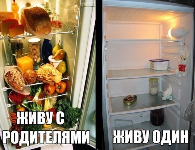 Холодильник когда съехал от родителей